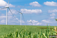 Algorand Aims to Become a Carbon-Negative Blockchain