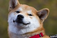 Dogecoin Drops 46% After Dogefather Appearance on SNL