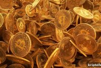 Bitcoin Still Struggles to Prove Itself as a Store of Value: BlackRock CEO