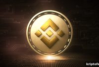 Binance Coin Price Update: Sell-Off Calms as Bulls Eye $260