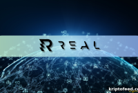 Real Finance Blockchain Guide: Earning Real-World Asset Yield in DeFi