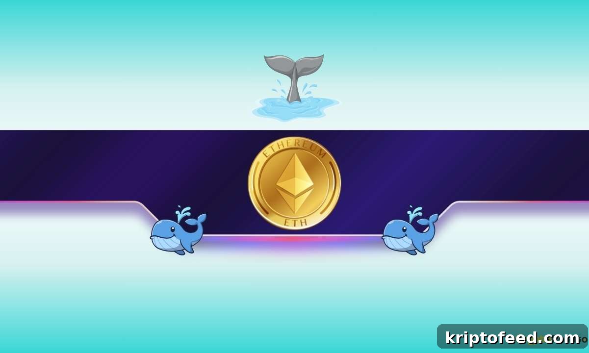 featured 1436070
