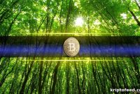 Bitcoin Surges Past $80,000 for First Time Since January