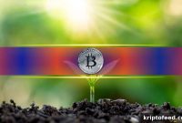 How a $619M Midweek Crypto Dip Was Reversed by a Single-Day Inflow