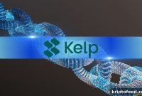 KelpDAO Moves to Chainlink CCIP After Disputing LayerZero Claims