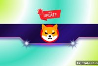 Shiba Inu Metric Reaches New All-Time High While SHIB Price Stays Red