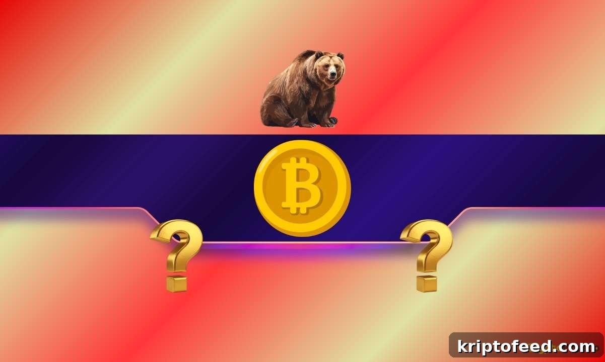 featured 1436559