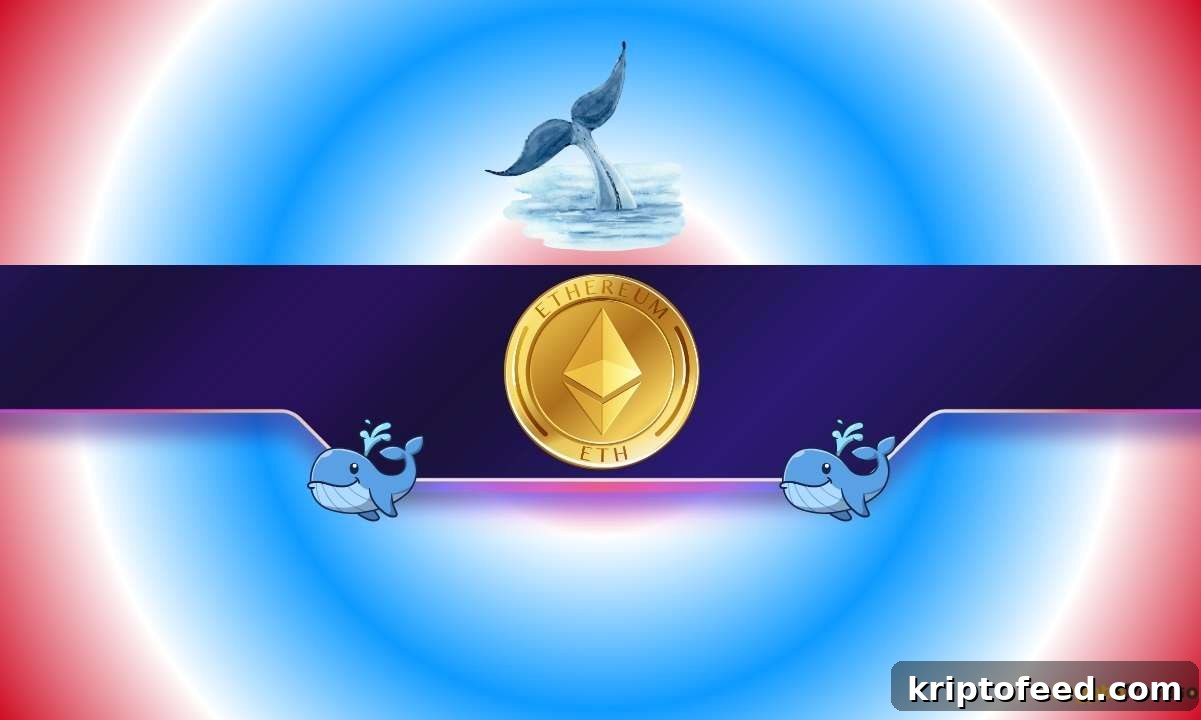 featured 1436562