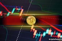 Is Bitcoin’s Rally Real? Analyst Warns of Massive Drop Ahead