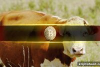 Bitcoin Market Structure Strengthens as Bullish Momentum Builds: Glassnode