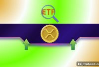 XRP Inflows Reach 5-Month High as Institutions Return to Ripple