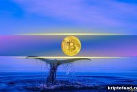 Whales Are Accumulating Bitcoin Again — What Are They Preparing For?