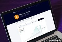 Investing $100 Monthly in Bitcoin Since 2015 Would Have Grown $13,700 to $632,000, Coinbird Analysis Shows