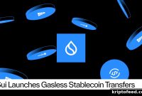 Sui Enables Gasless Stablecoin Transfers With Fireblocks Support