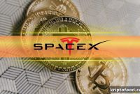 How Much Bitcoin Does SpaceX Actually Own?