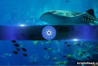 Cardano Whales Control 67.5% of ADA Supply: Positive or Problematic?