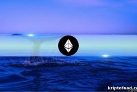 Top Ethereum Wallets Now Hold Over 22% of Supply During New Accumulation Wave