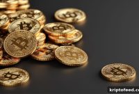 Strive Increases Bitcoin Bet with $185M Purchase, Nears 19K BTC Holdings