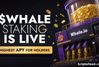 Whale.io Launches Whale Printer: Stake $WHALE Tokens for Rewards