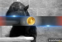 Ethereum Drops to 14-Month Low — Analyst Calls It a Buy-the-Dip Opportunity