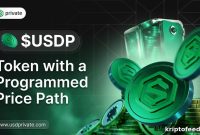 USD Private Unveils Structured Digital Asset with Programmed $1→$1M Price Path