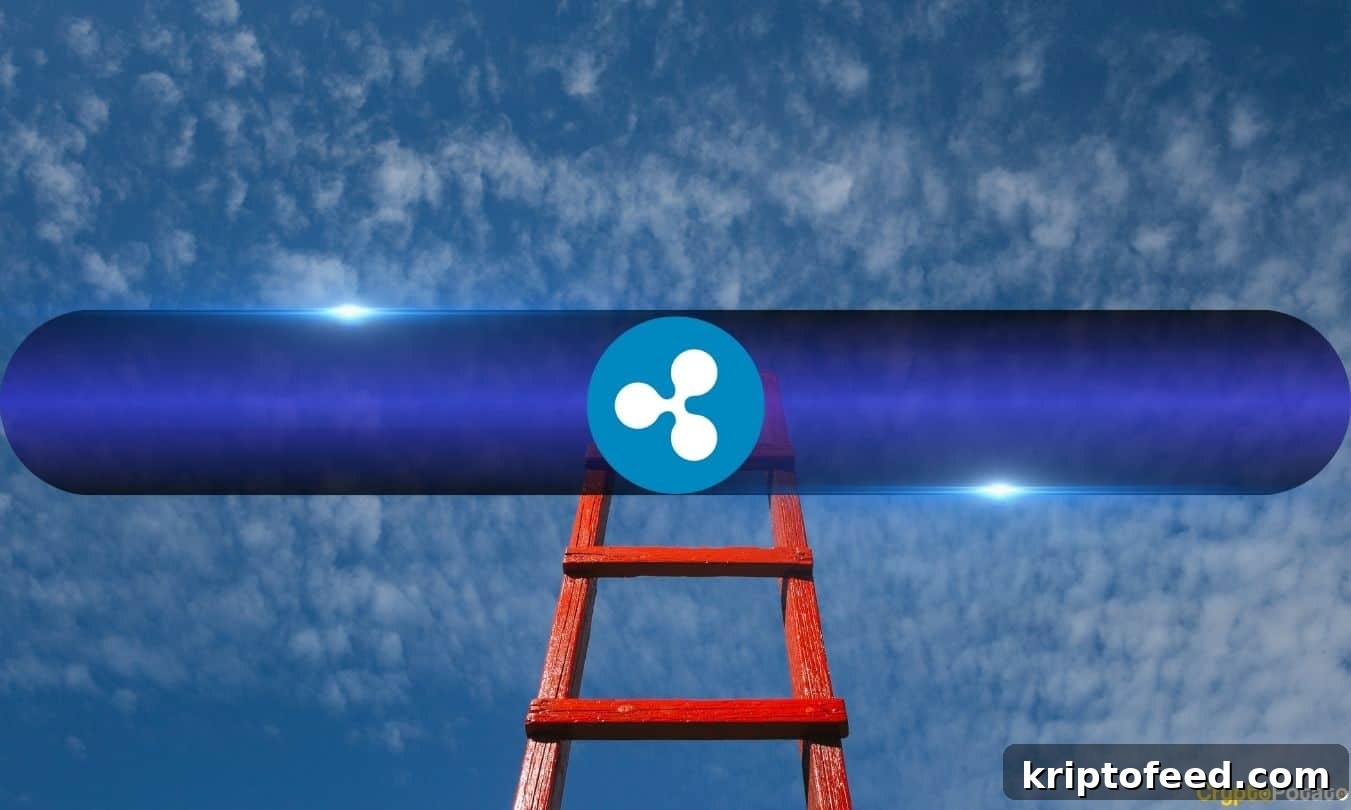featured 1439240