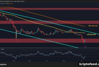 XRP Price Outlook: Has Ripple Reclaimed Support for a Comeback?
