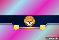 Shiba Inu (SHIB) Investors Confront Key Questions After 65% Yearly Crash
