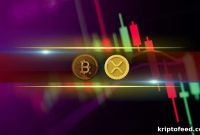 XRP, ADA, SOL Plunge as Bitcoin Drops to $61K — Market Update