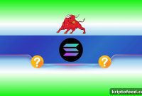 Solana (SOL) Plunges but Key Indicator Flashes Buy Signal Now