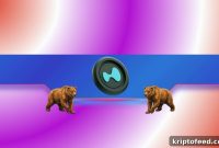 Why Hyperliquid (HYPE) May Face a Major Price Correction