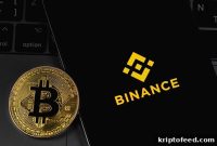 Binance Coin (BNB) Price Forms Bear Flag as Market Tension Rises