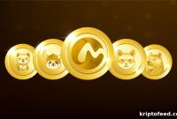 Meme Coins: Highlights and Surprises from Recent Years