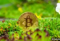How Gemini’s Climate Initiative Is Reducing Bitcoin Carbon Emissions