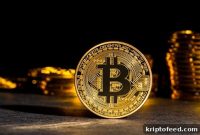 Bitcoin and Cryptocurrencies Face a Pivotal Week: Memeinator Price Outlook
