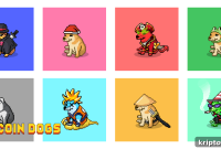 Raised $13.5M: Bitcoin Dogs Launches Ambitious Journey Toward Listing and Web3.0