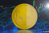 Where to Buy Ryoshi Token: The Real Doge Killer Surges 237%