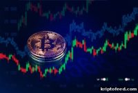 Net Bitcoin Spot ETF Inflows of $15M Boost BTC, STX & 0DOG