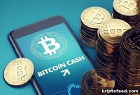 Crypto Price Forecasts: BitBot, Mantle, and Bitcoin Cash Predictions