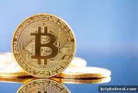 Crypto Rally Fades as Demand for BitBot Tokens Surges