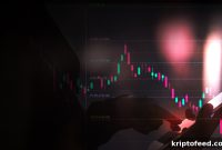 This New Meme Coin Surges as Most Cryptos Drop After CZ Ruling