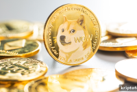 AMC CEO Asks in Survey Whether to Accept DOGE Payments