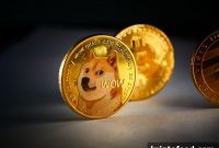 Dogecoin and Shiba Inu Volumes Fall as Solciety Token Sell-Off Surges