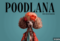Poodlana Token Listing Imminent; Ripple Ruling Boosts Market Sentiment