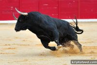Bitcoin Climbs to $66,000 as Uptober Market Sentiment Soars