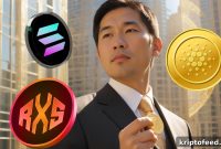 Why Solana and Cardano Investors Are Pouring Money Into This $0.08 Utility Token
