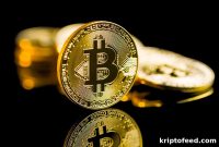 Cryptocurrency Price Forecast: What’s Next for Vantard as Bitcoin Holds $90,000?