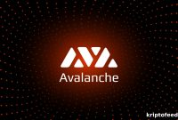 10 Key Takeaways from Nansen’s Report on Avalanche