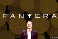 Pantera Capital CEO Says $40 Trillion Crypto Market Cap Is Definitely Possible