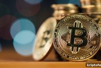 iDEGEN Price Forecast as BTC and SOL Hold Key Support Levels
